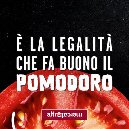 TOMATO REVOLUTION