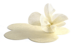 SILK PAPER FUSTELLATA A FIORE / 25 pz
