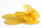 SILK PAPER FUSTELLATA A FIORE / 25 pz